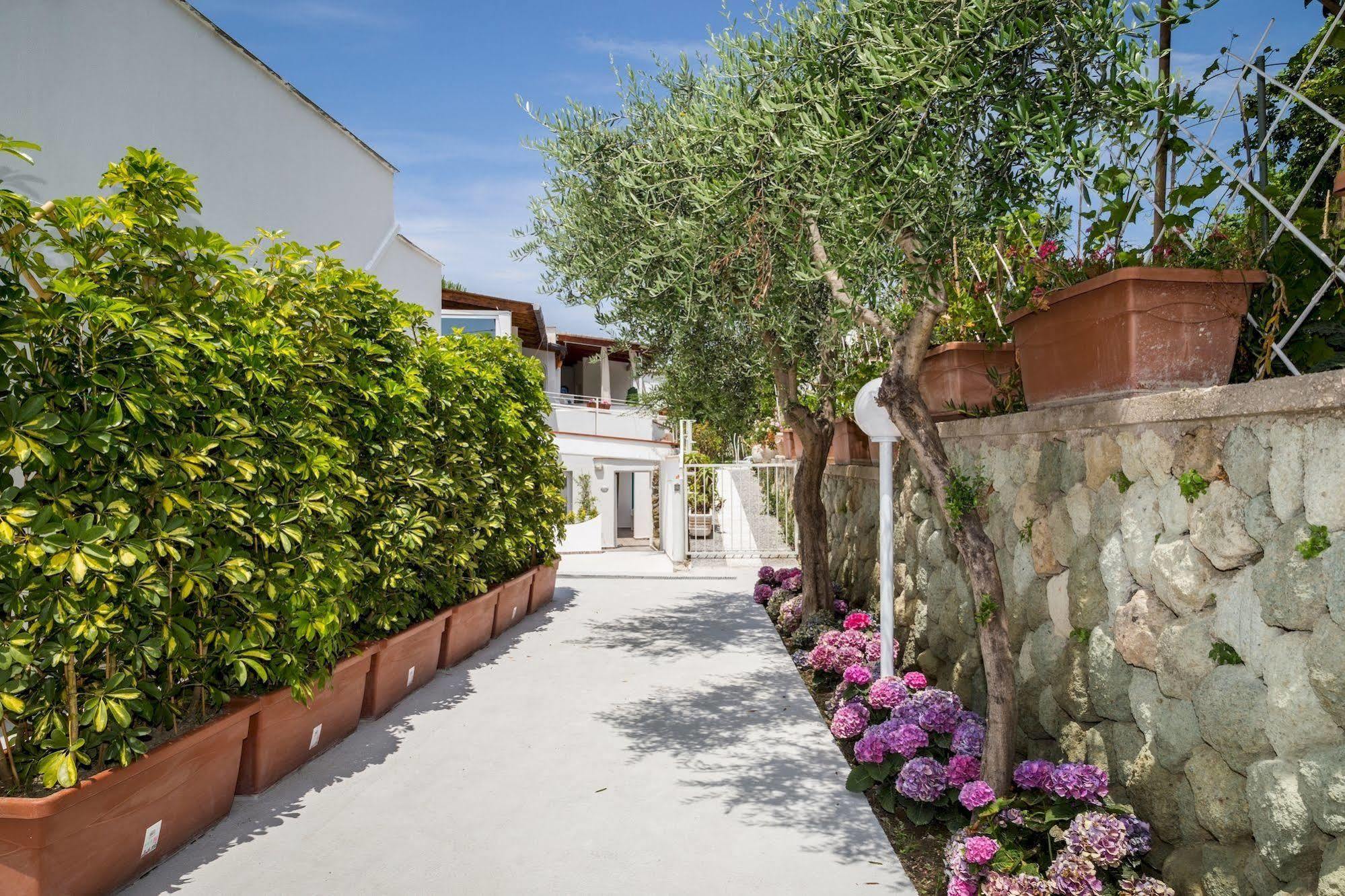 Relais Romildanna Bed and Breakfast Forio di Ischia Exteriör bild